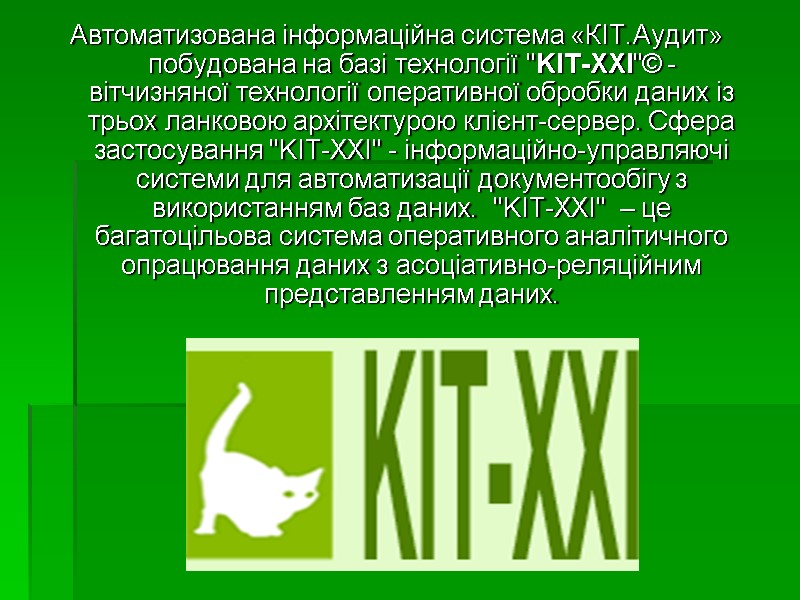 Автоматизована інформаційна система «КІТ.Аудит» побудована на базі технології 